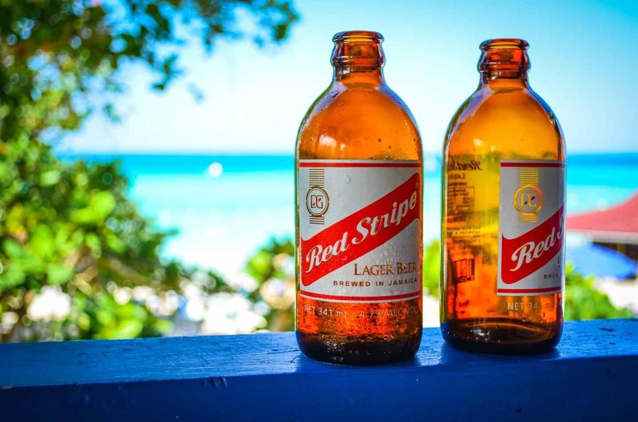 A Wave From It All @ Aqueducts Negril Eksteriør billede